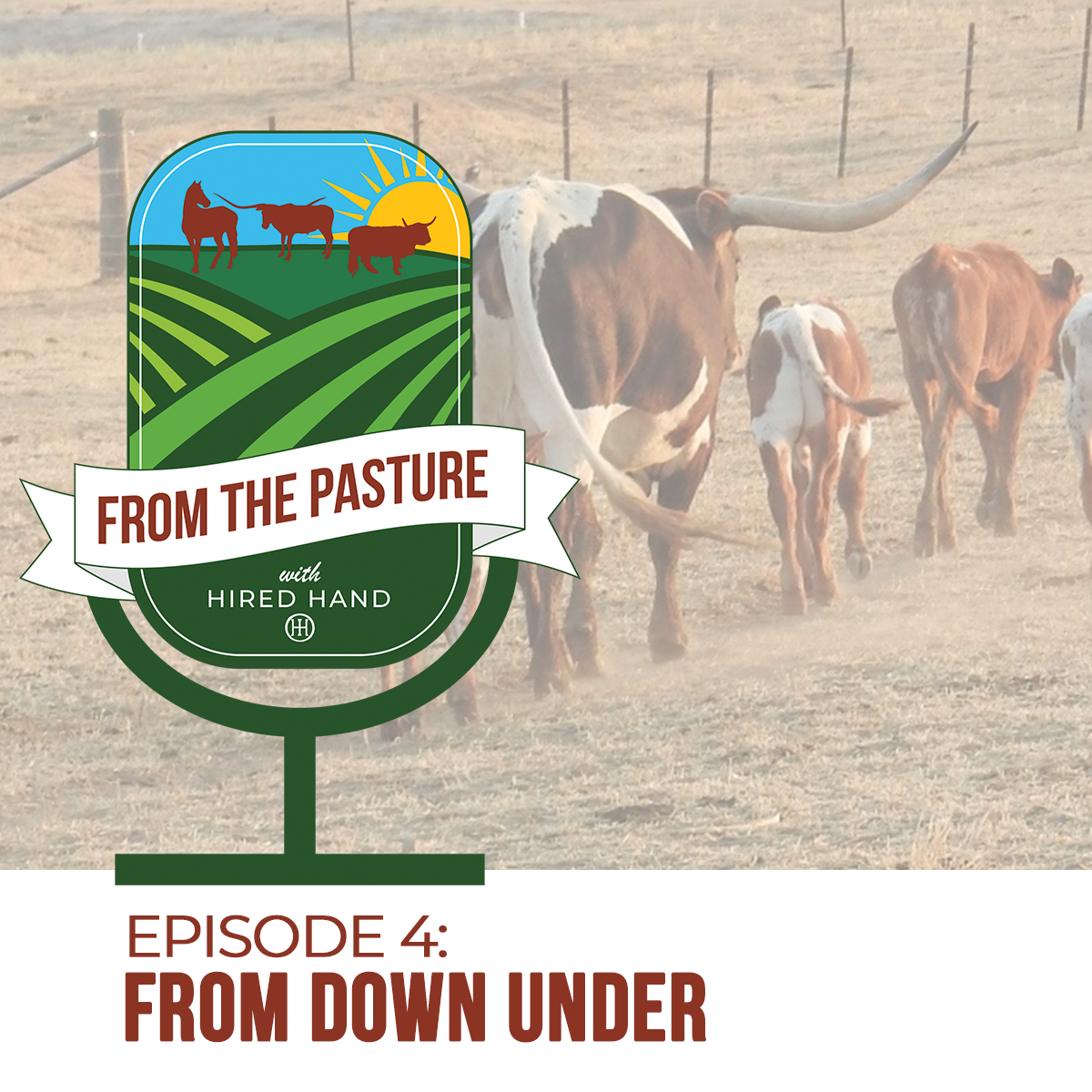 Episode4-blog