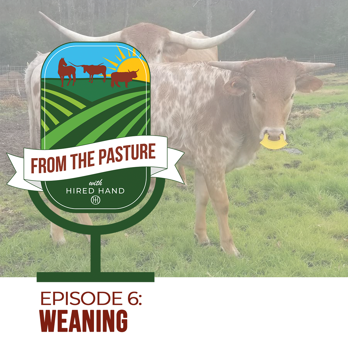 Episode6-blog