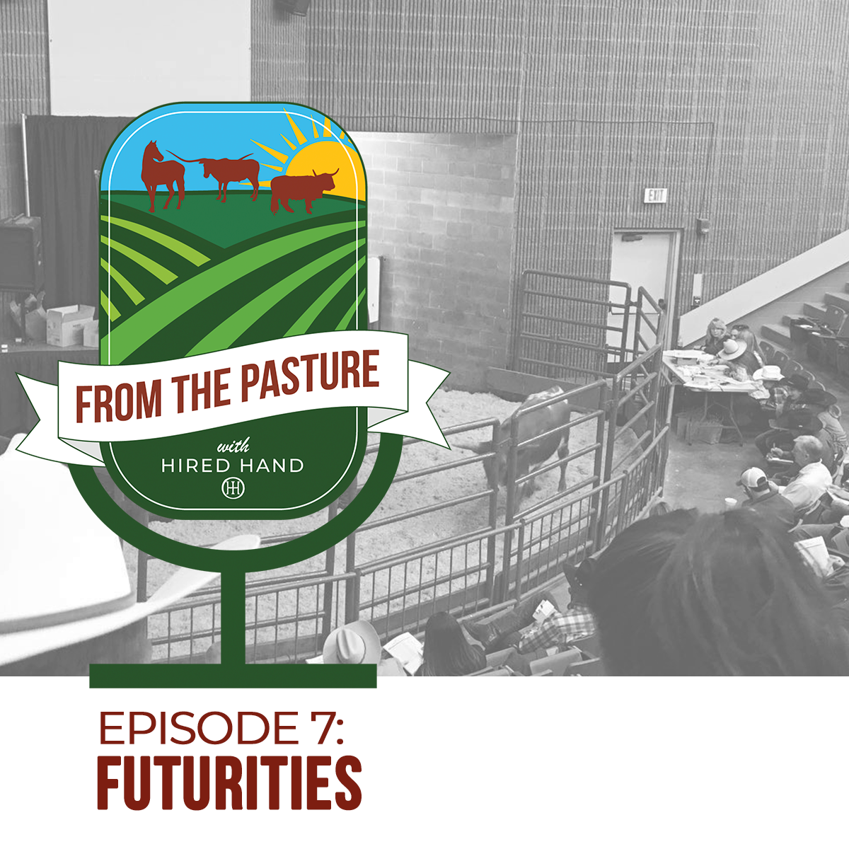Episode7-blog