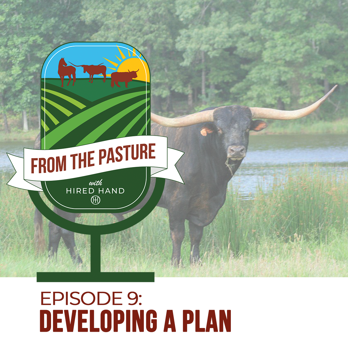 Episode9-blog