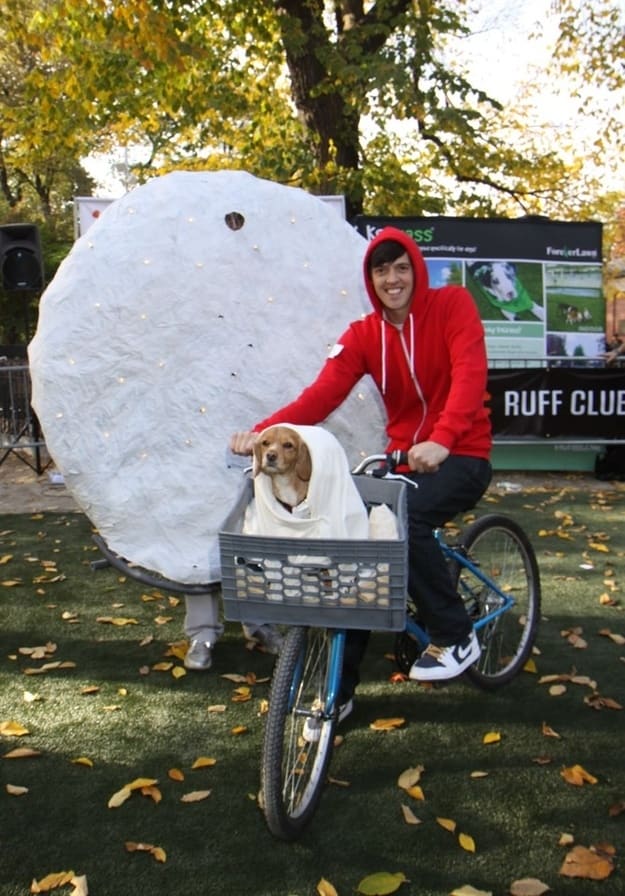 ET and Dog ET and Dog
