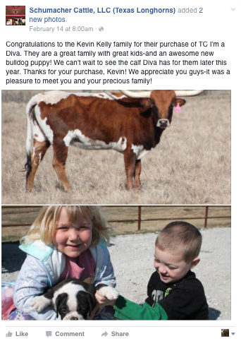Facebook Thank You from Schumacher Cattle, LLC Facebook Thank You from Schumacher Cattle, LLC