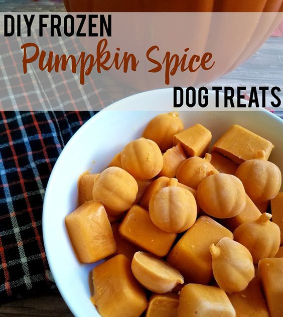 Frozen PS dog treats
