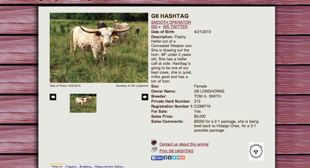 G6 Hashtag