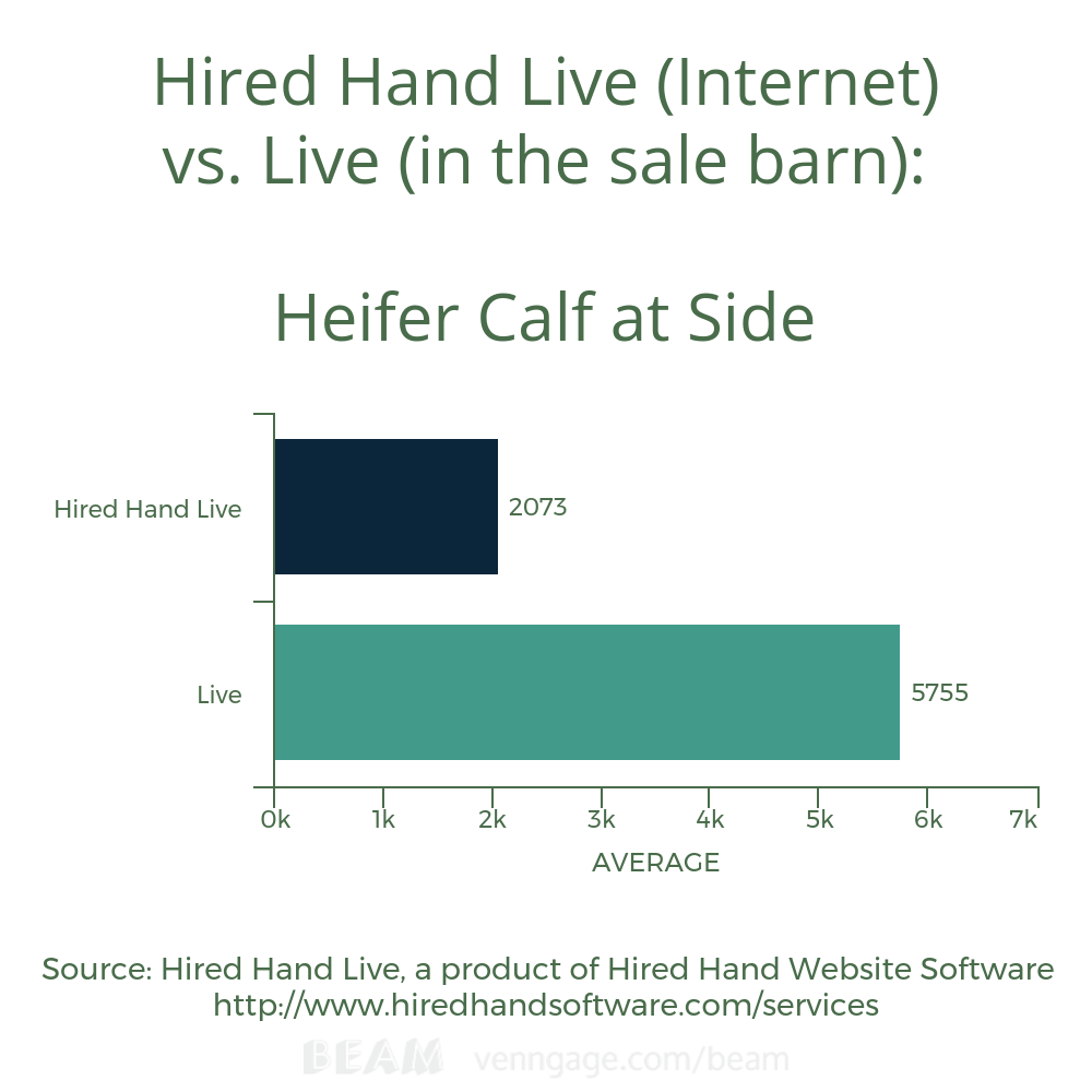 Heifer Calf at Side Avg HHL vs L Heifer Calf at Side Avg HHL vs L