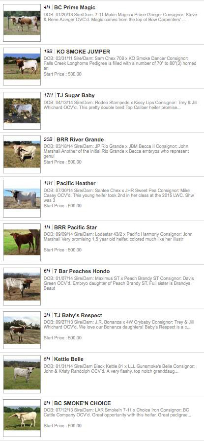 Heifer Sale top lot hits Heifer Sale top lot hits