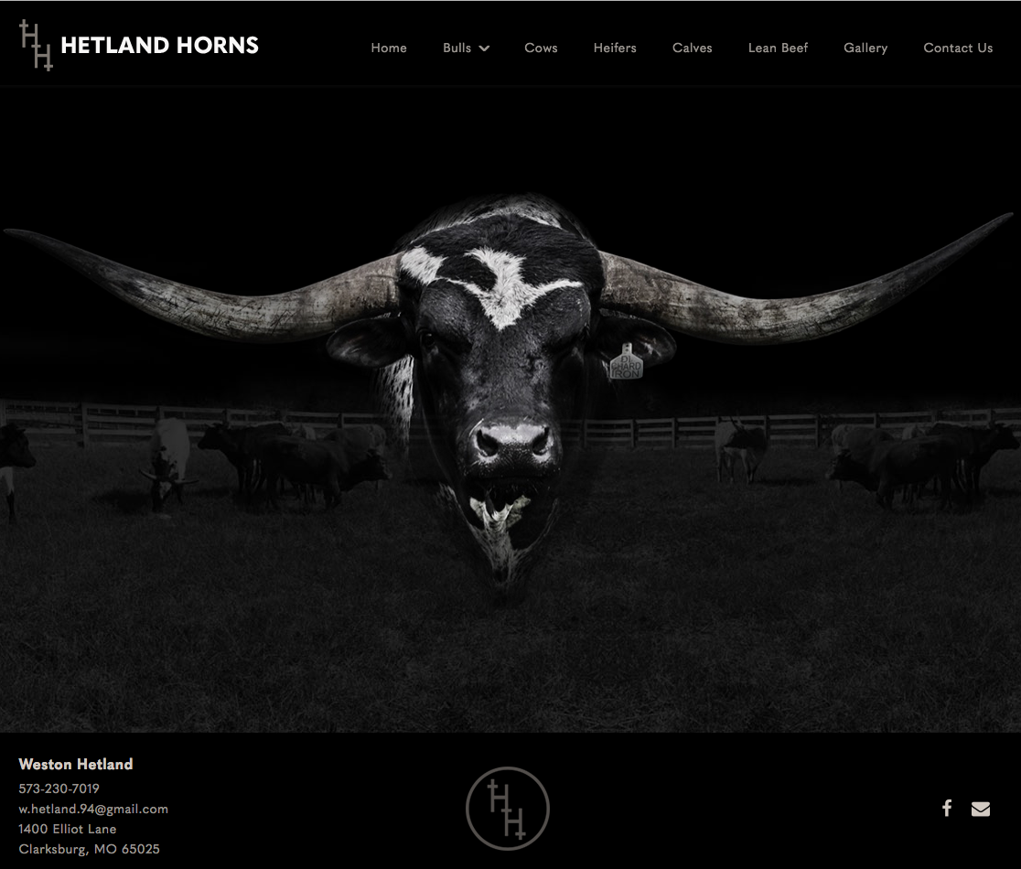 Hetland Horns