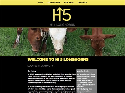 Hi 5 Longhorns