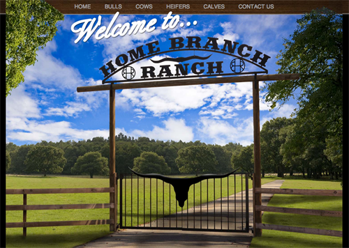 Home Branch Ranch-home