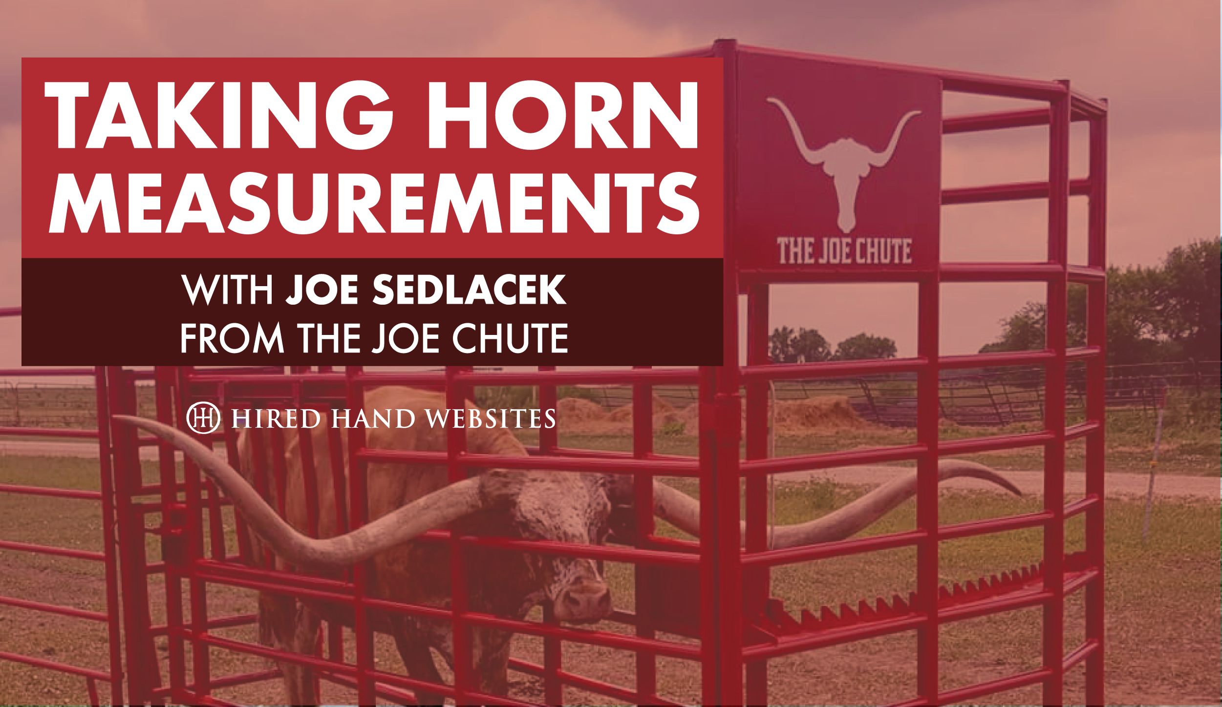 Horn Measurements with The Joe Chute