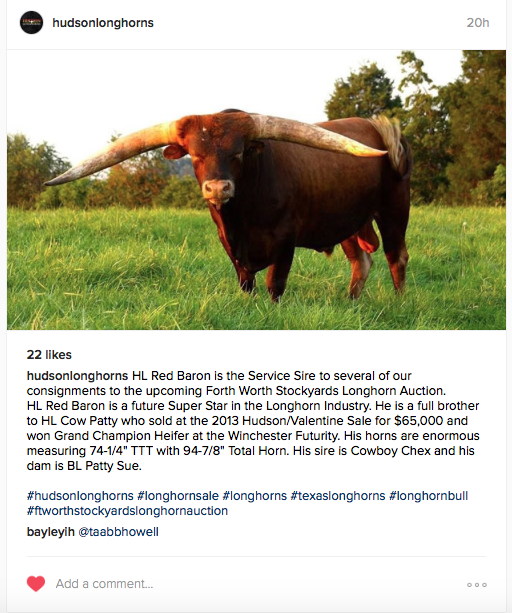 Hudson Longhorns Instagram