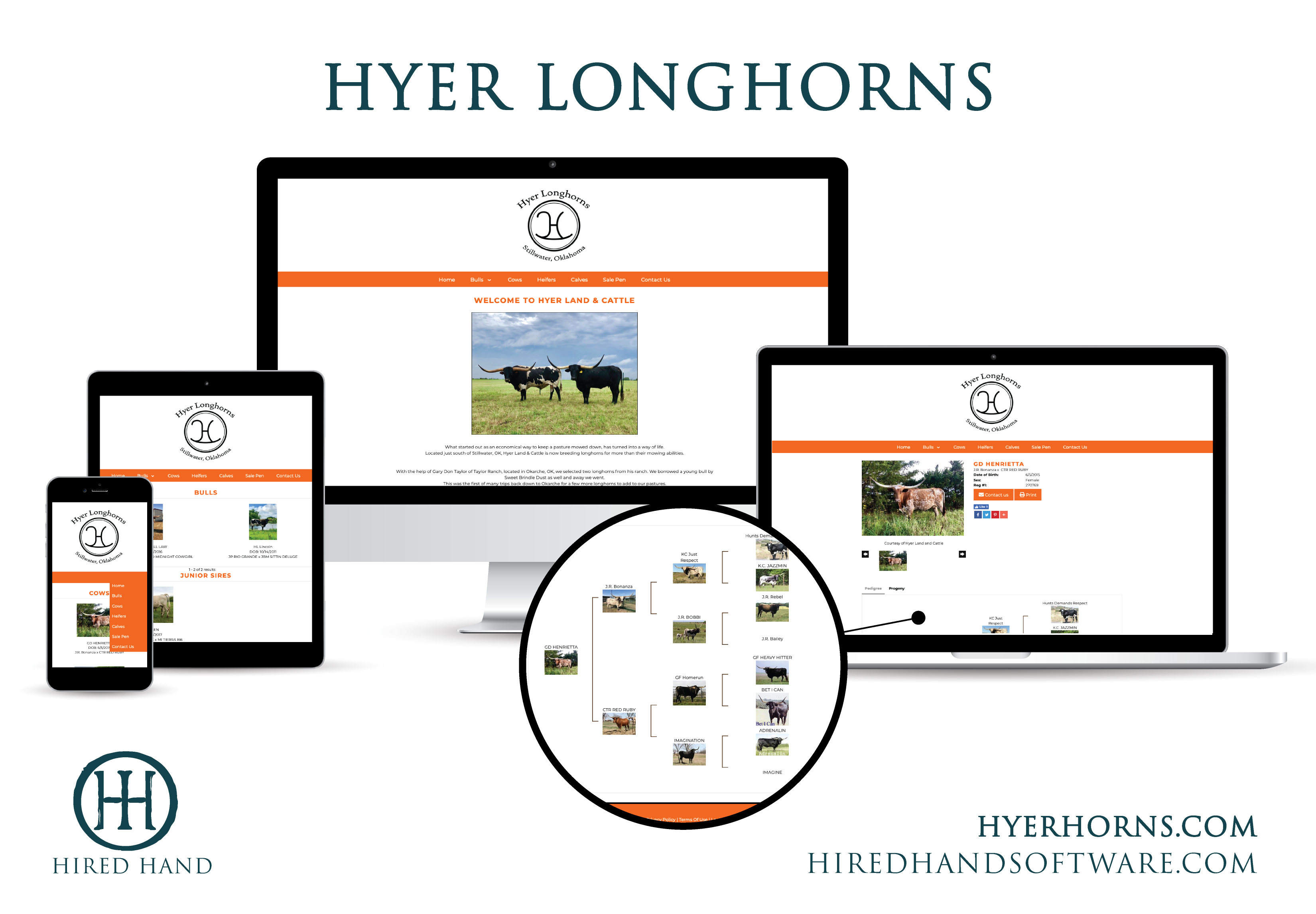 HyerLonghorns_WebsiteLaunch-01
