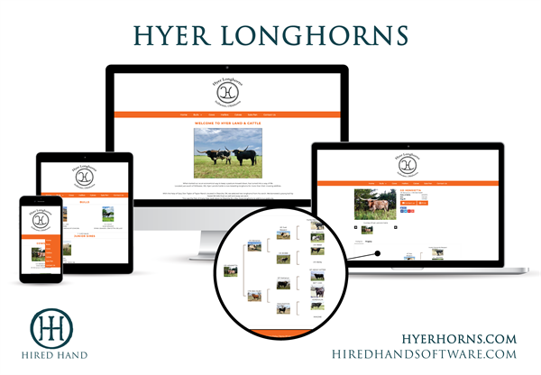 HyerLonghorns_WebsiteLaunch-01