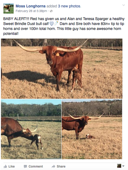 Introduce animals