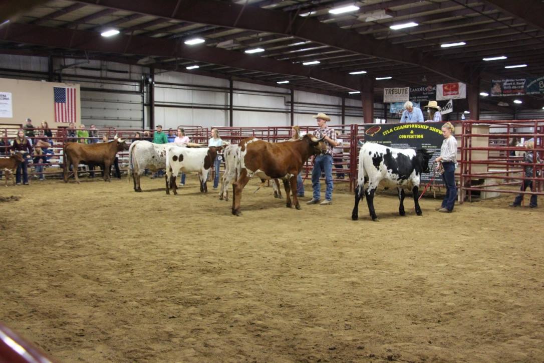 ITLA Convention and Show