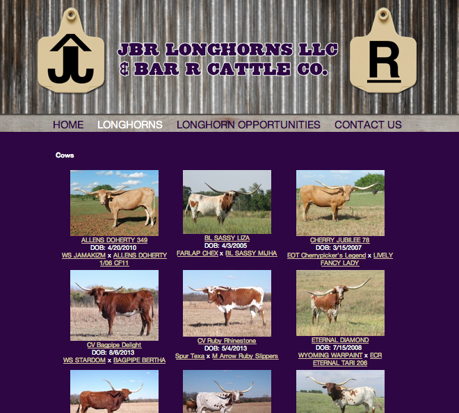 JBR Longhorns