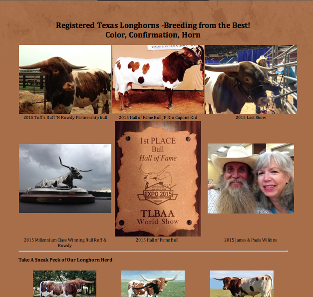 JP Ranch Photos