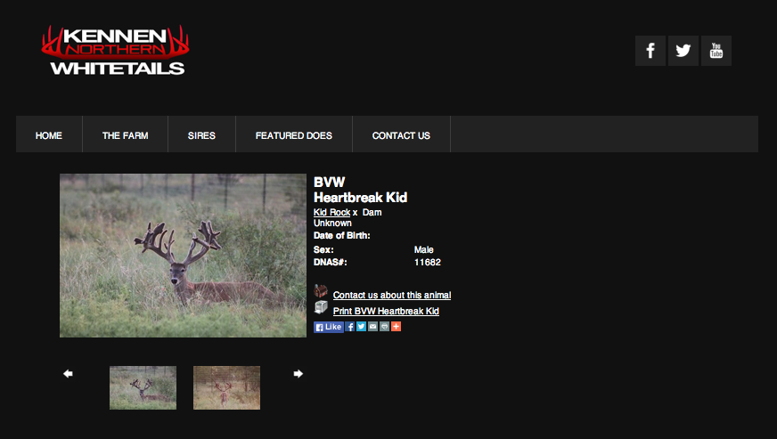Kennen Whitetails buck page