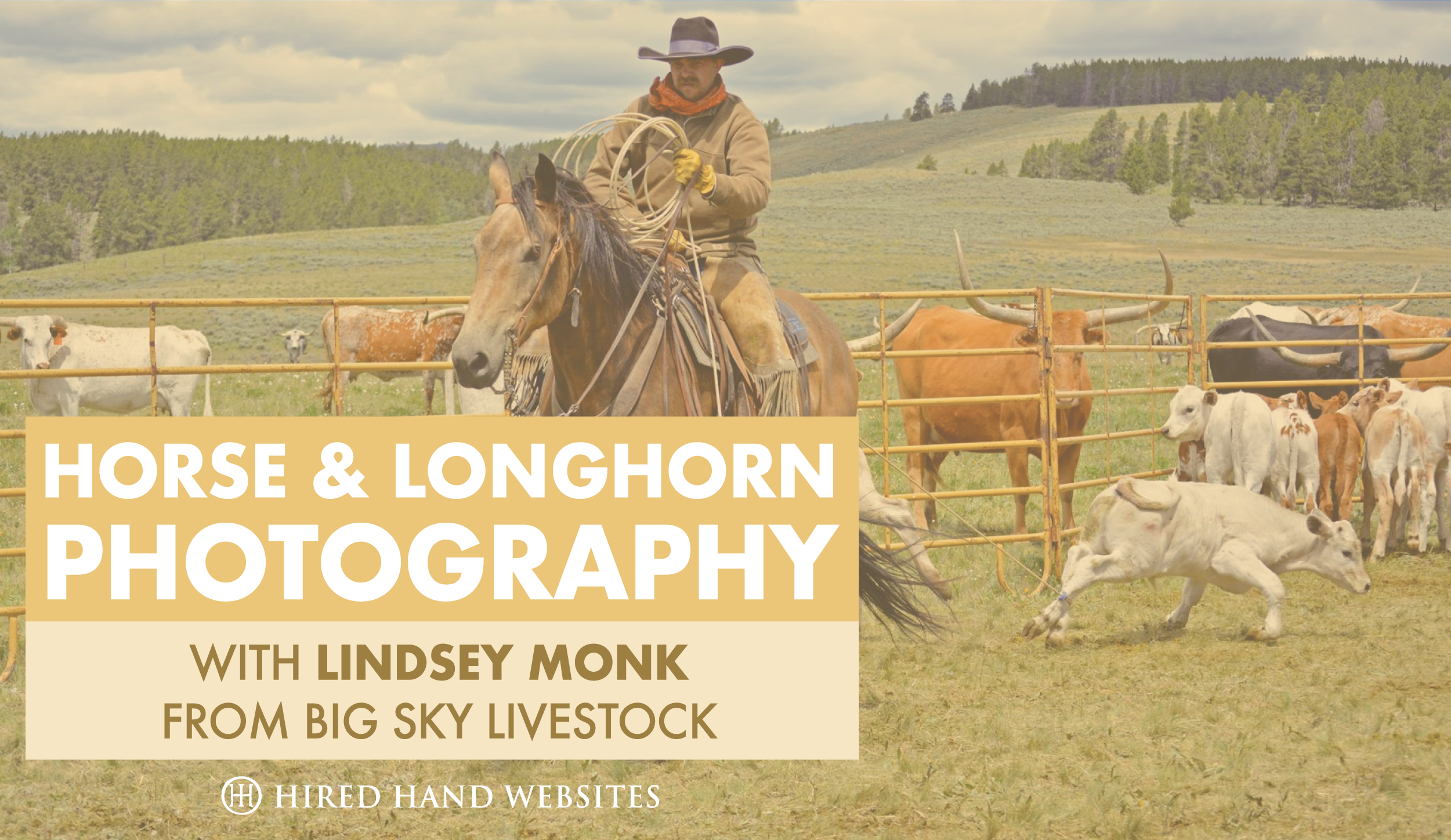 Lindsey Monk Photography