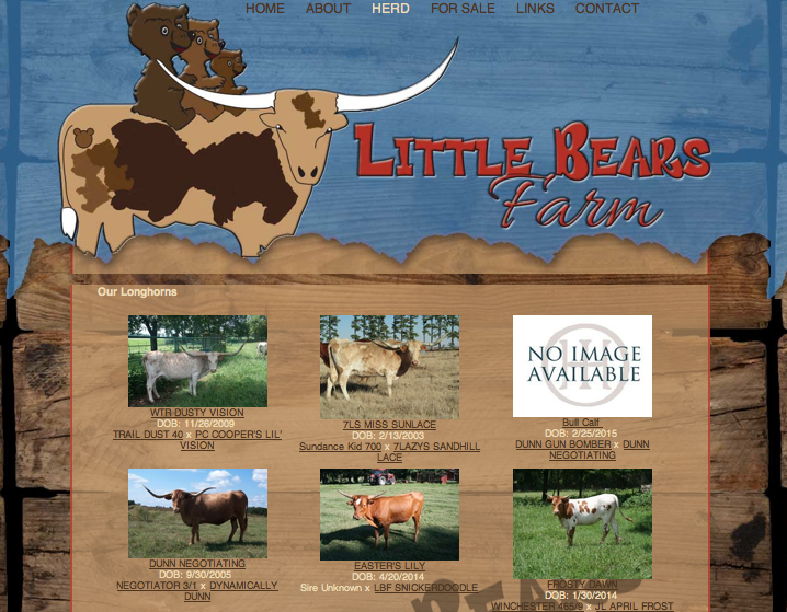 Little Bears Farm Herd