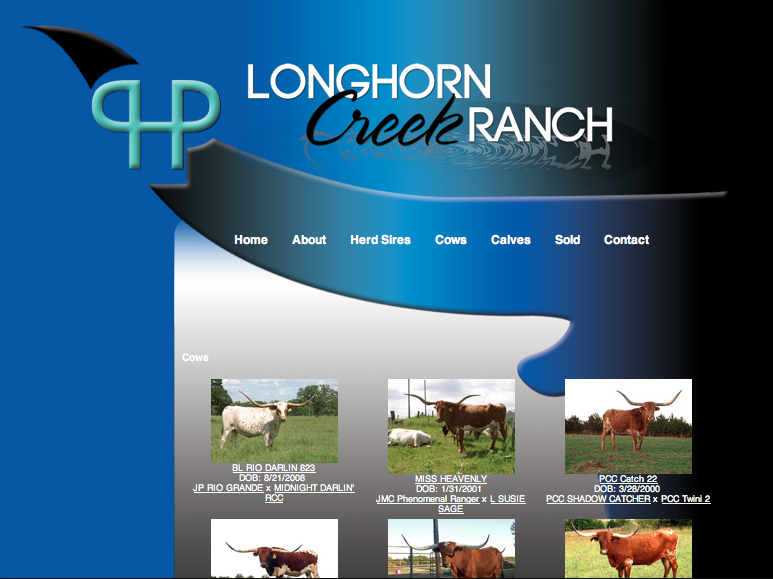 Longhorn Creek Ranch