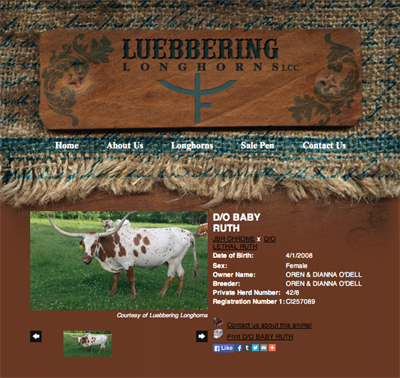 Luebbering Animal