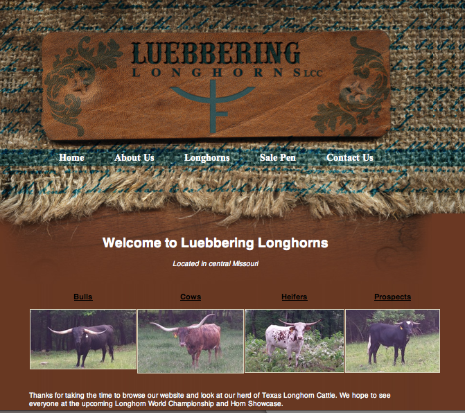 Luebbering Home