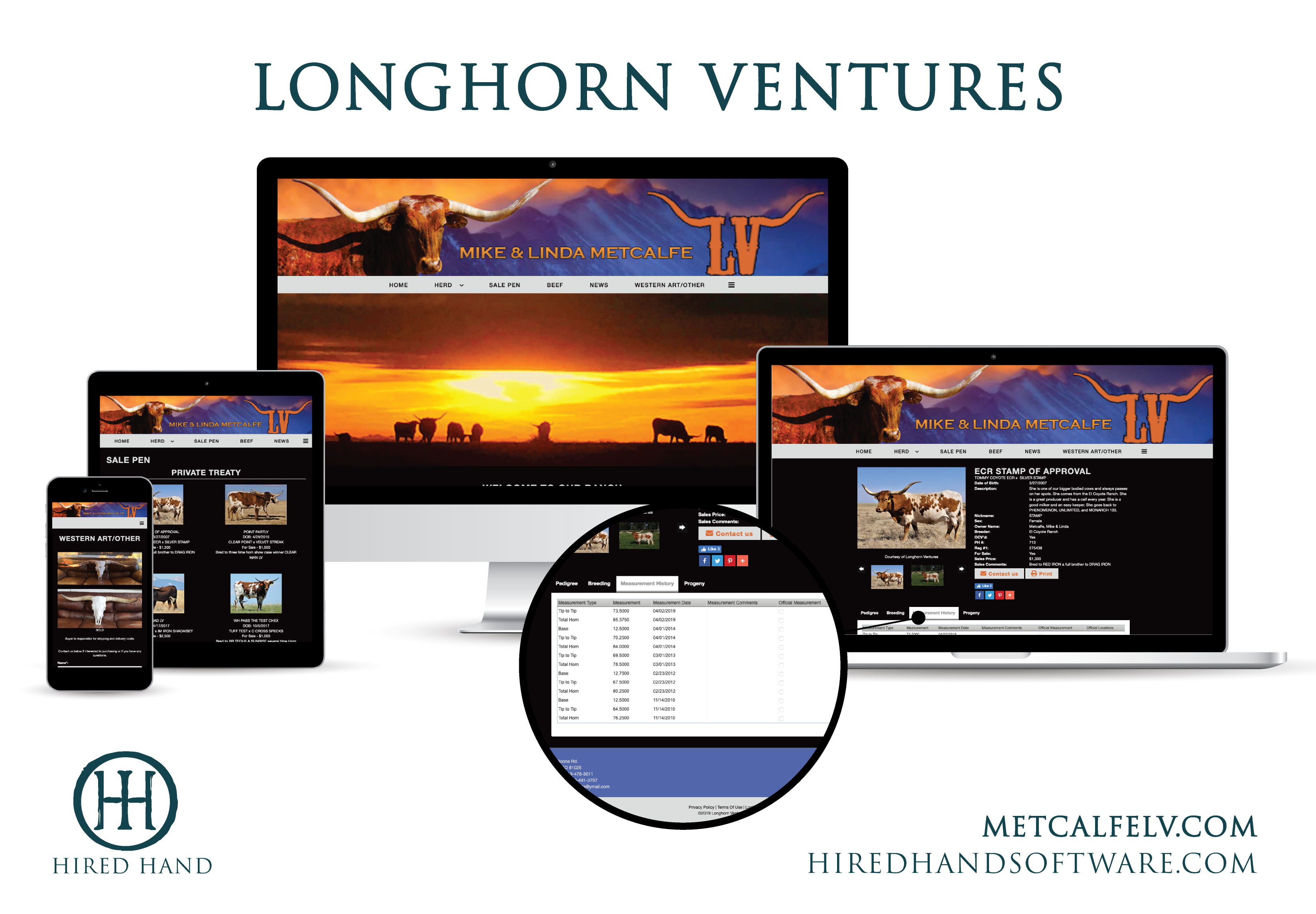 MetcalfeLV_WebsiteLaunch-01