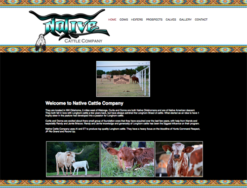 Native Cattle Co-home