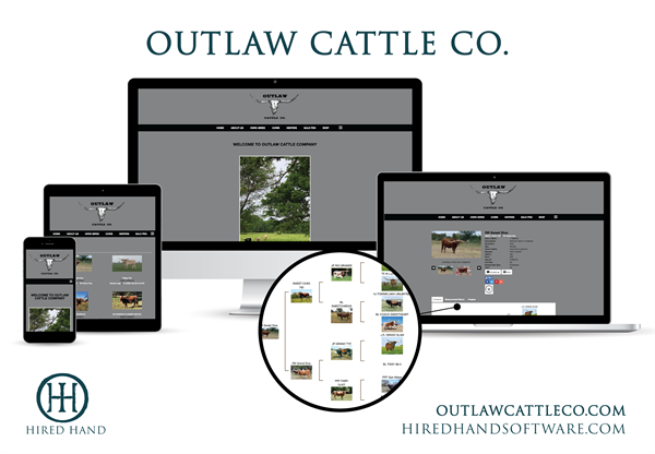 OutlawCattleCo_WebsiteLaunch-01 OutlawCattleCo_WebsiteLaunch-01