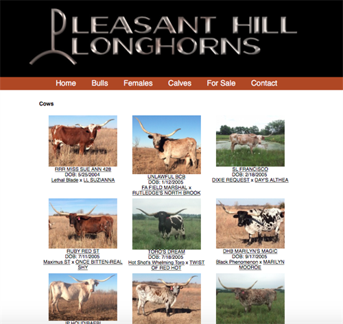 Pleasant Hill Longhorns - home