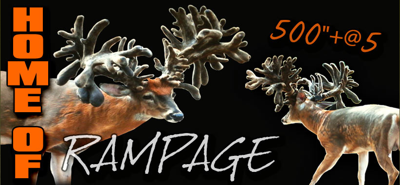 Pogany Whitetails' Rampage