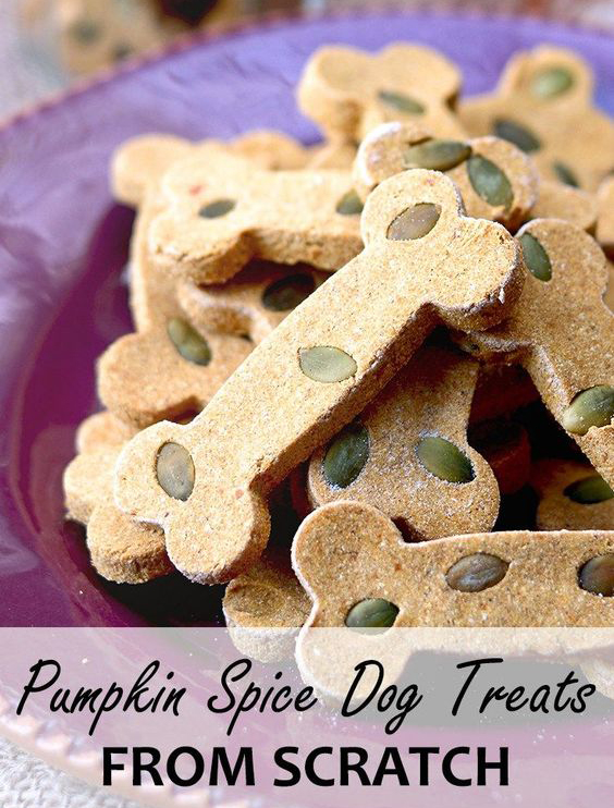 PS dog treats