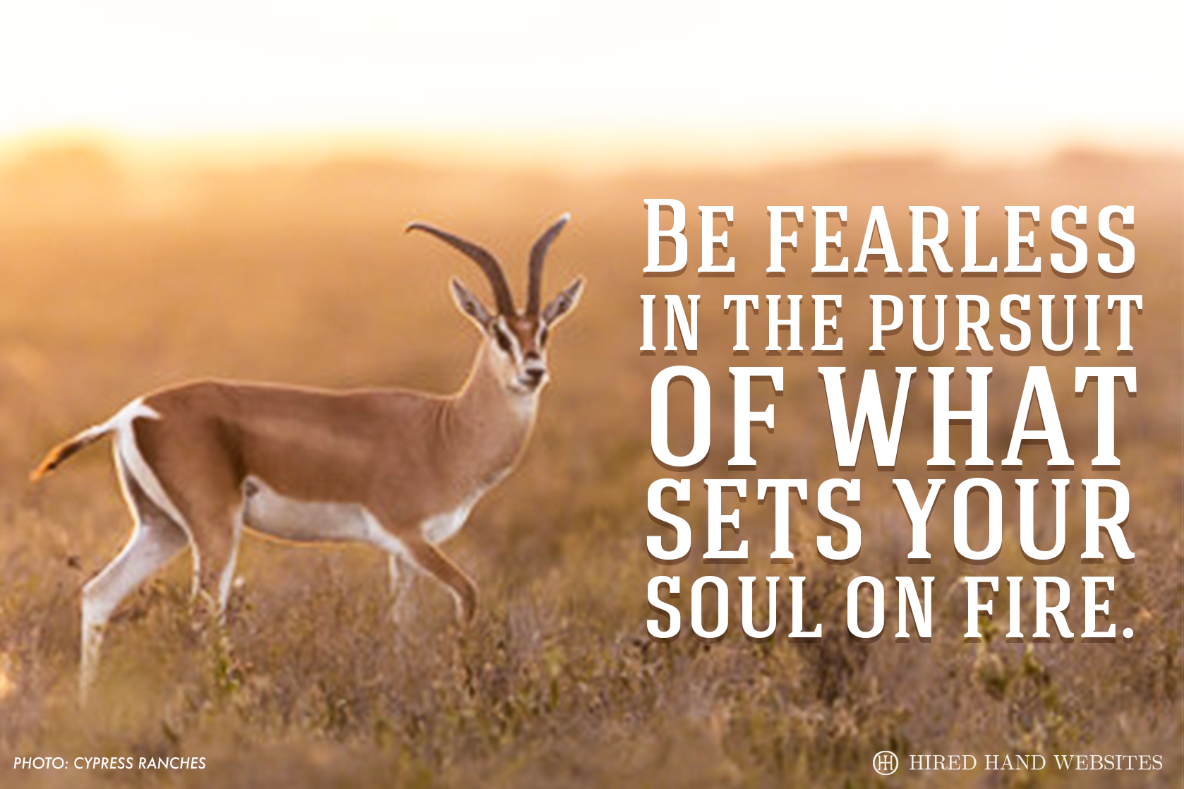 Pursuit_Facebook