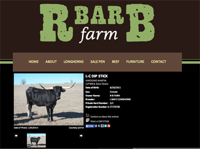 R Bar B Farm Animal