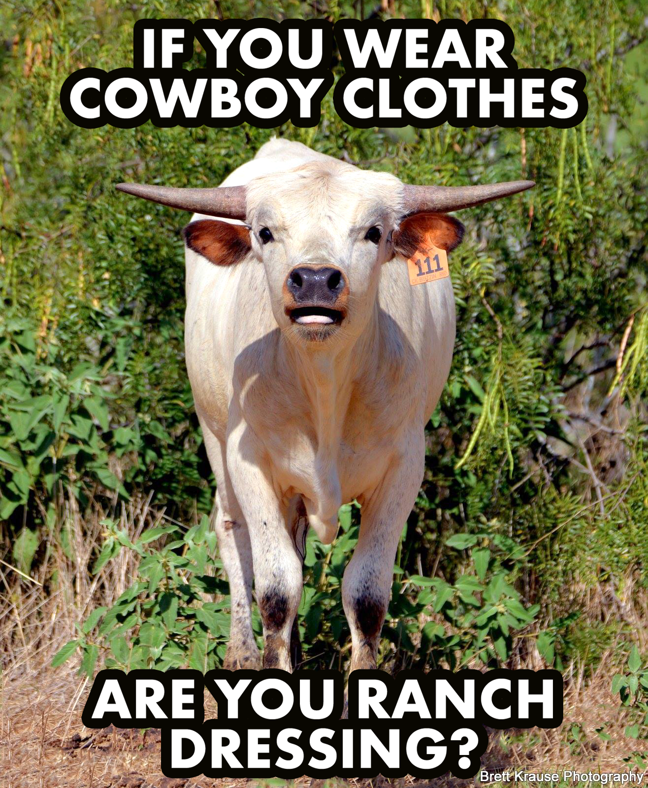 RanchDressing-HiredHand