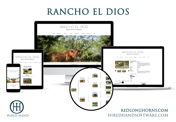 RanchoElDios_WebsiteLaunch-01