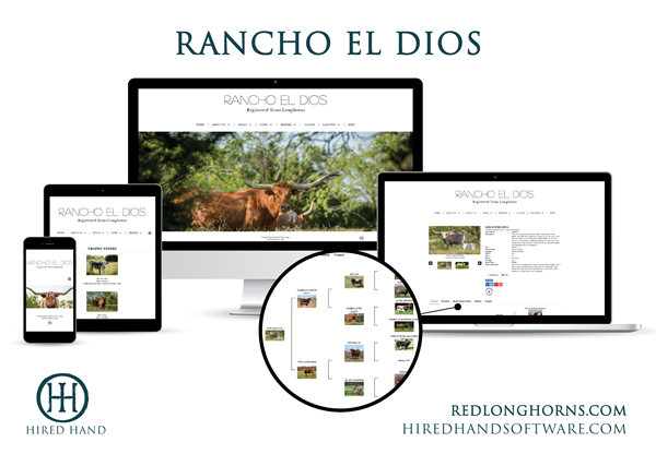 RanchoElDios_WebsiteLaunch-01 RanchoElDios_WebsiteLaunch-01