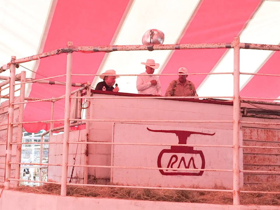 Red McCombs Sale