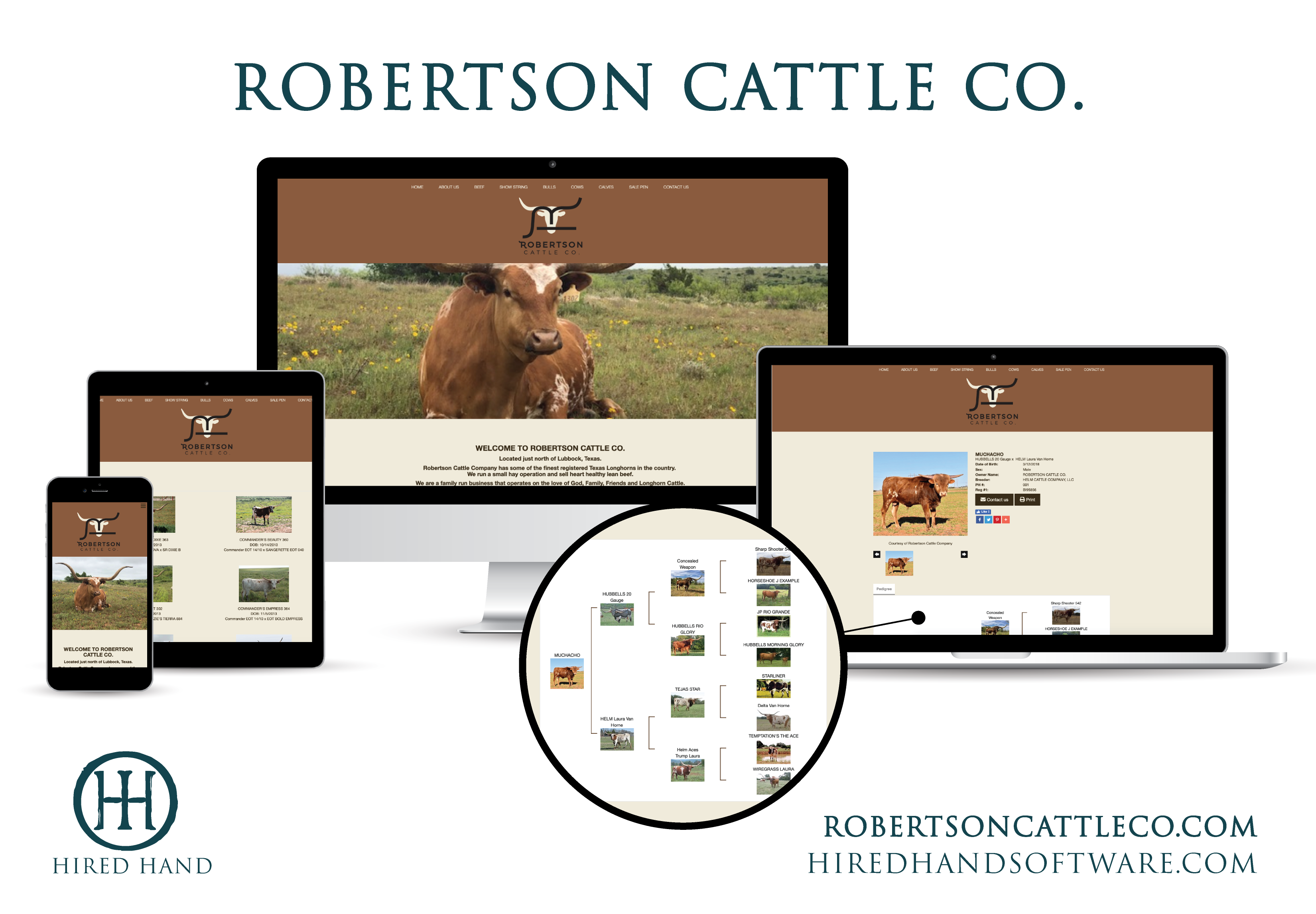 RobertsonCattleCo_WebsiteLaunch-01
