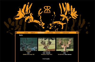 RR Ranch homepage