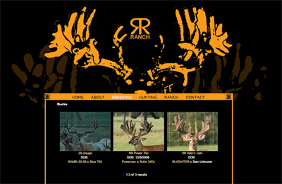 RR Ranch Website