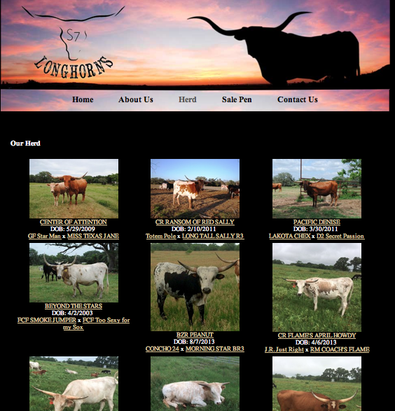 S7 Longhorns Herd