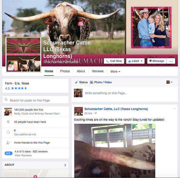 Schumacher Cattle, LLC Facebook Page