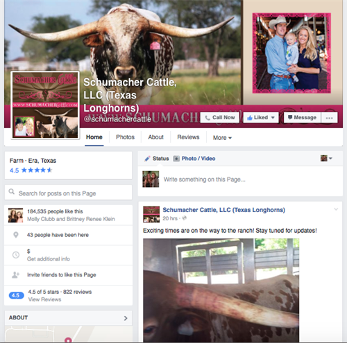Schumacher Cattle, LLC Facebook Page