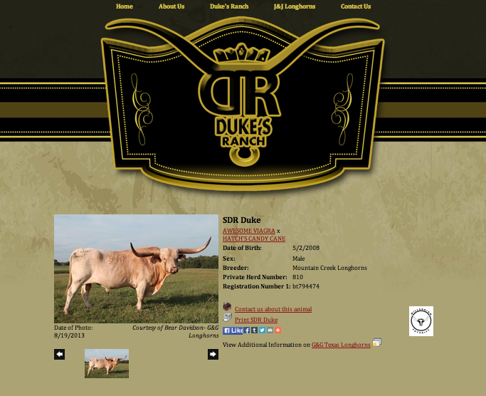 SDR Duke