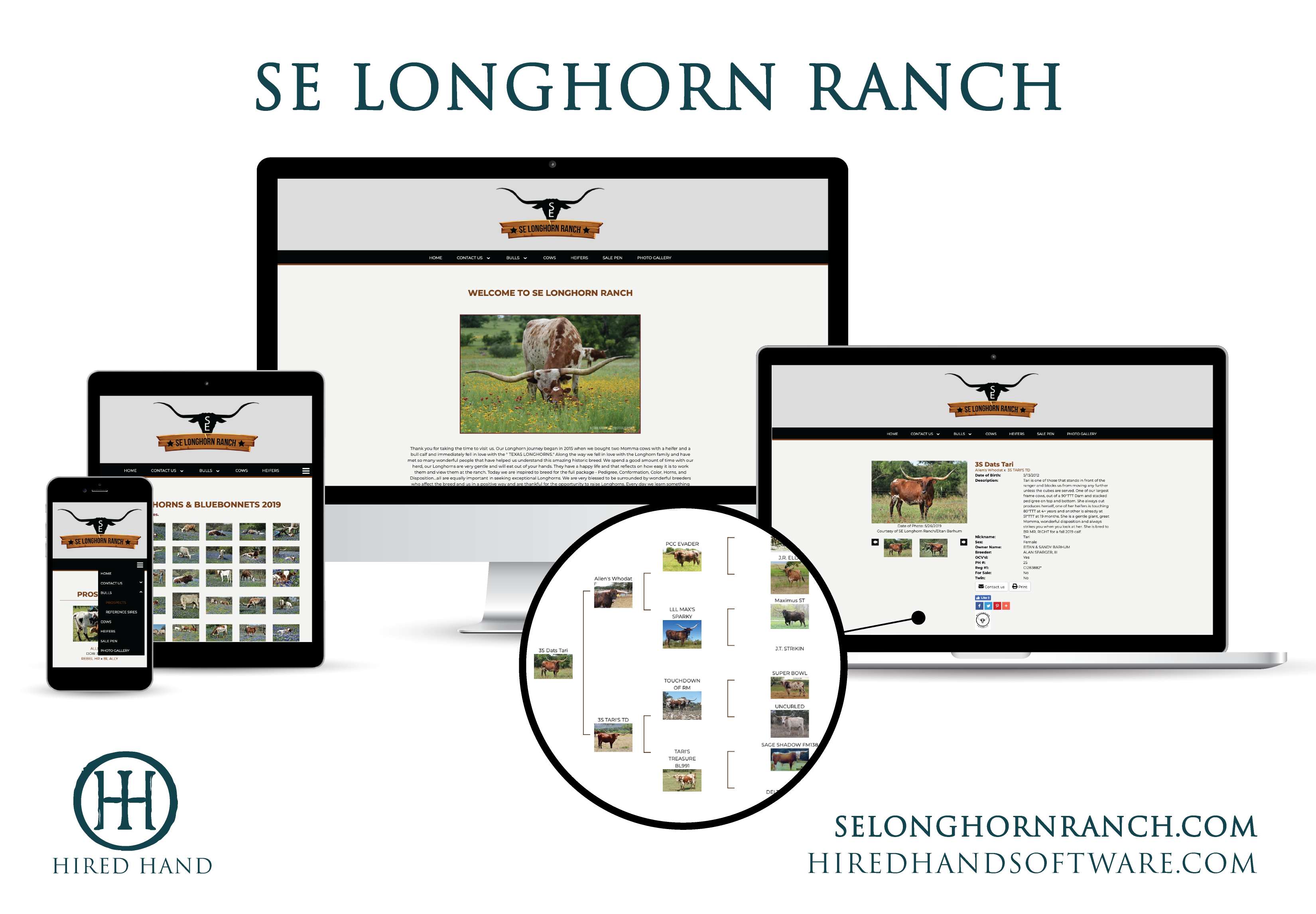 SELonghornRanch-01