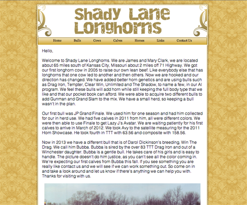 Shady Lane Longhorns 