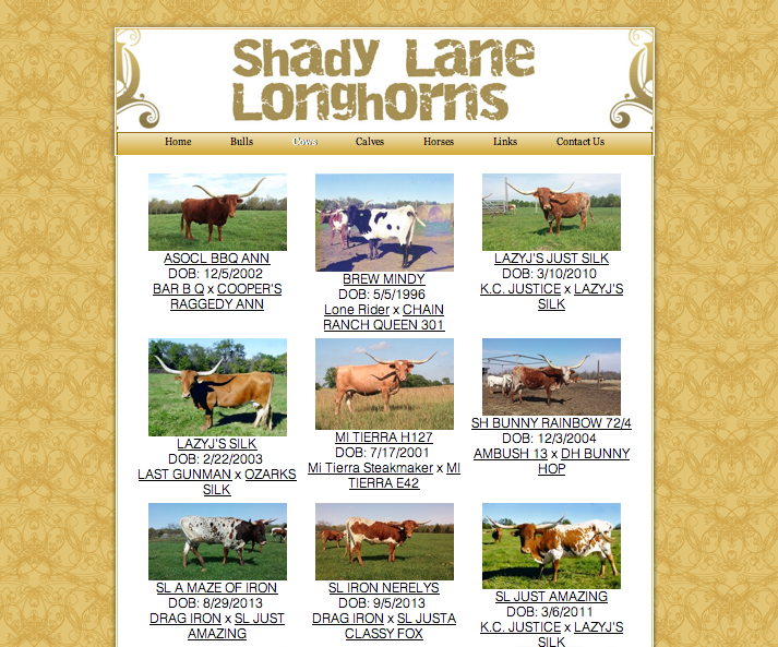 Shady Lane Longhorns