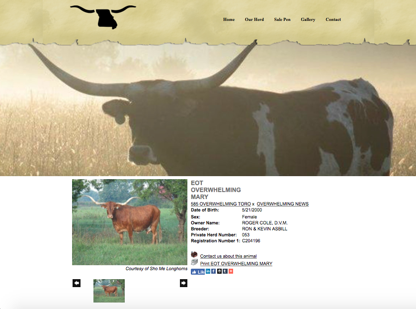 Sho Me Longhorns